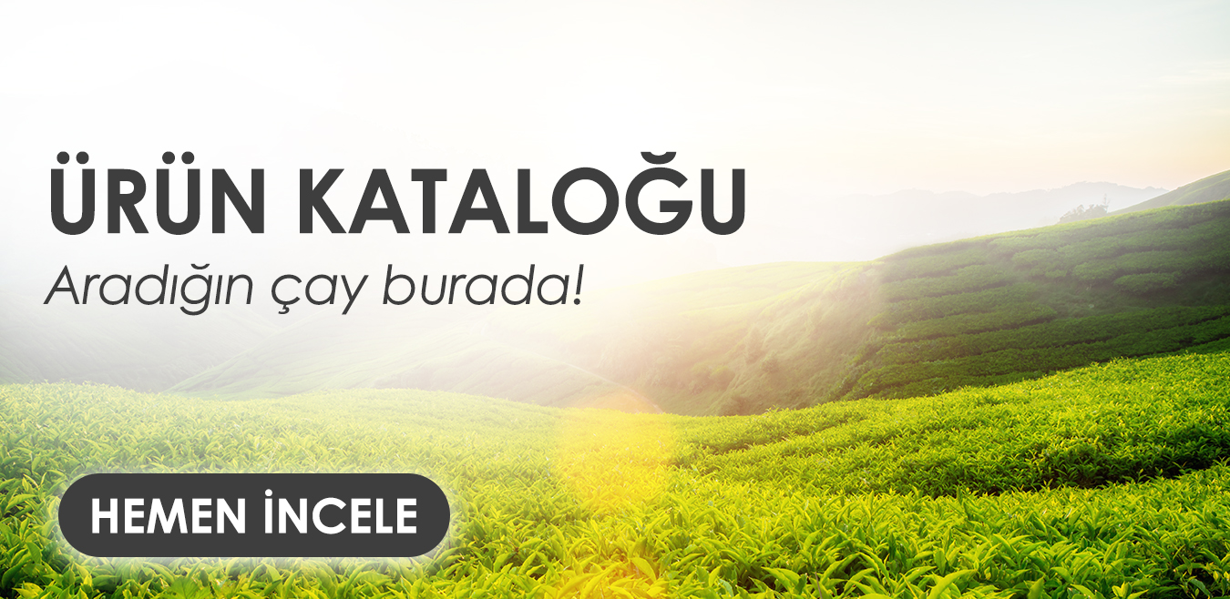 ÜRÜN KATALOĞU